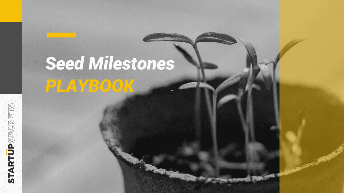 Seed Milestones Playbook 