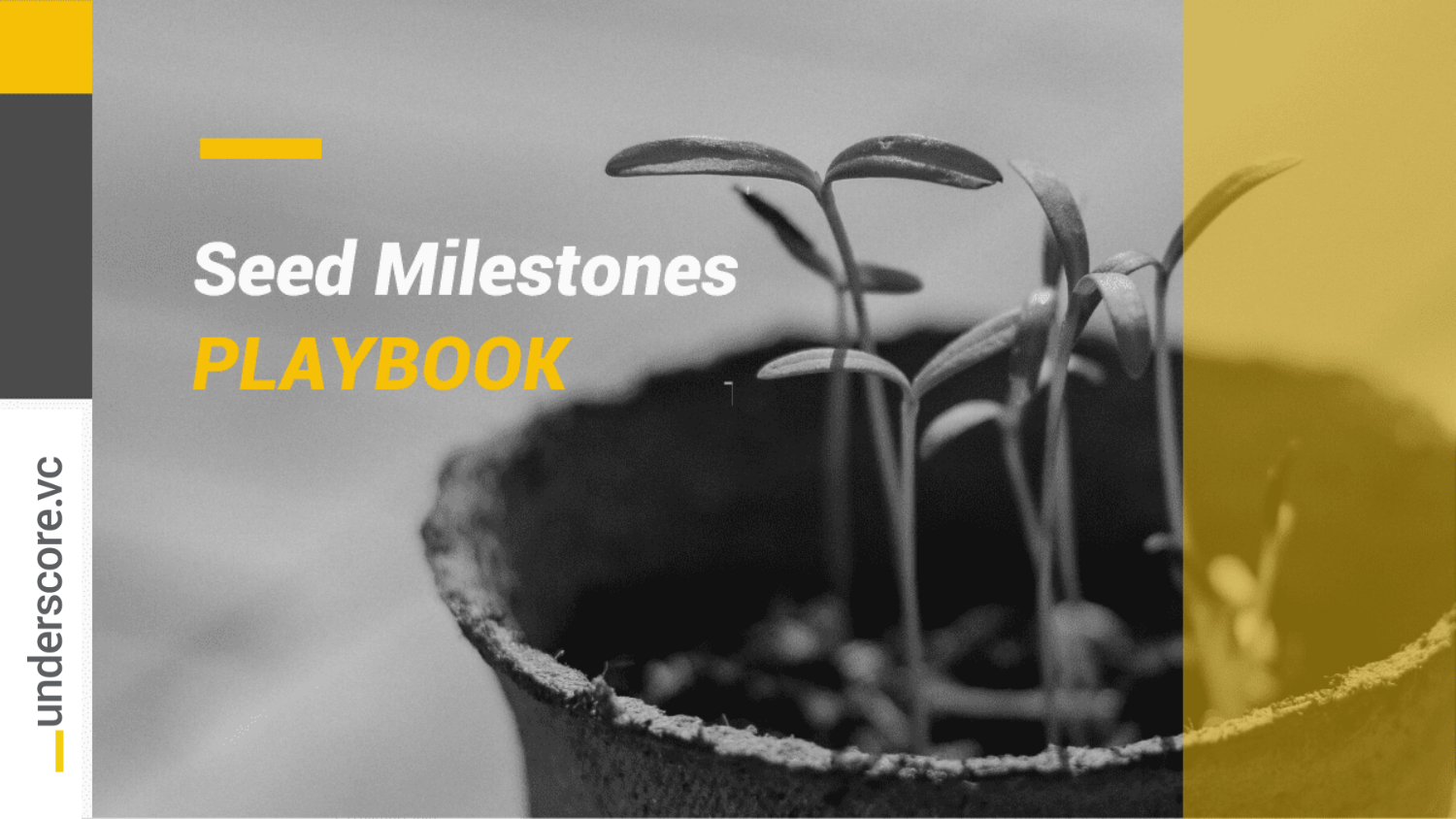 Seed Milestones: How Much Traction Do You Need to Raise Seed Funding?